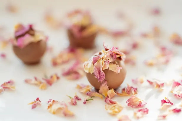 Πελικαν Καζίνο Εφαρμογή Android/iOS